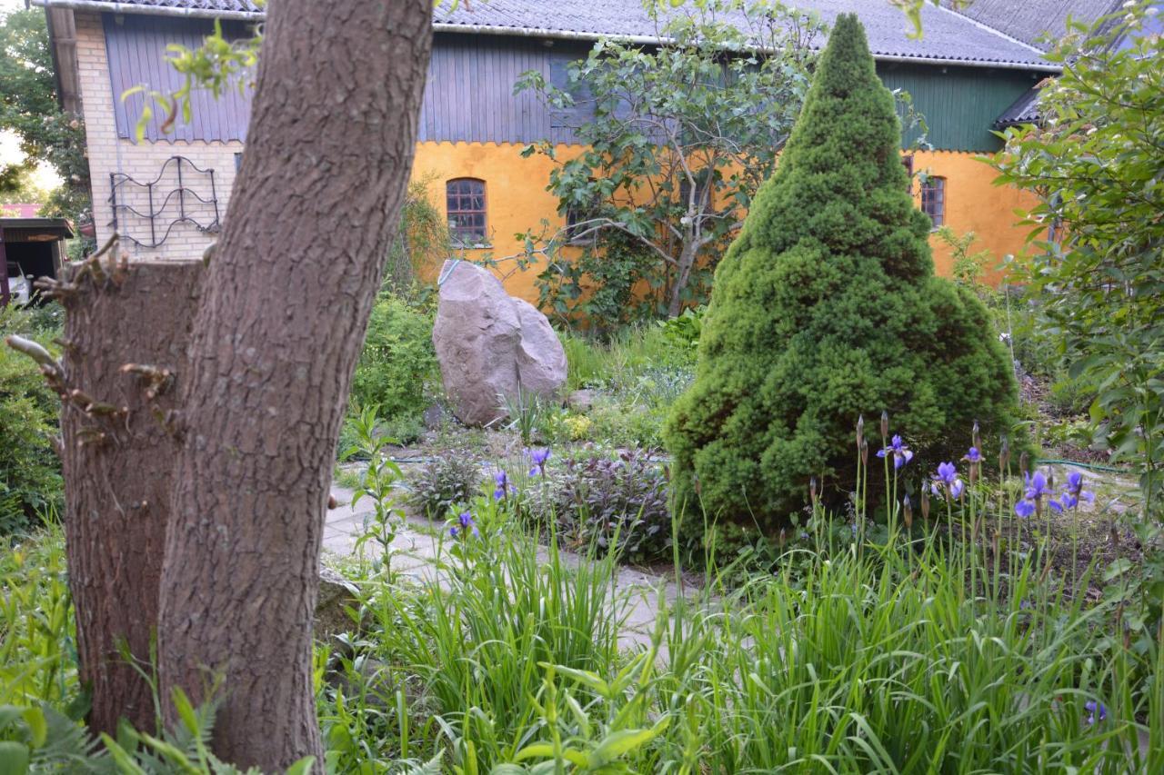 Havehojegaard Apartment Borre Bagian luar foto